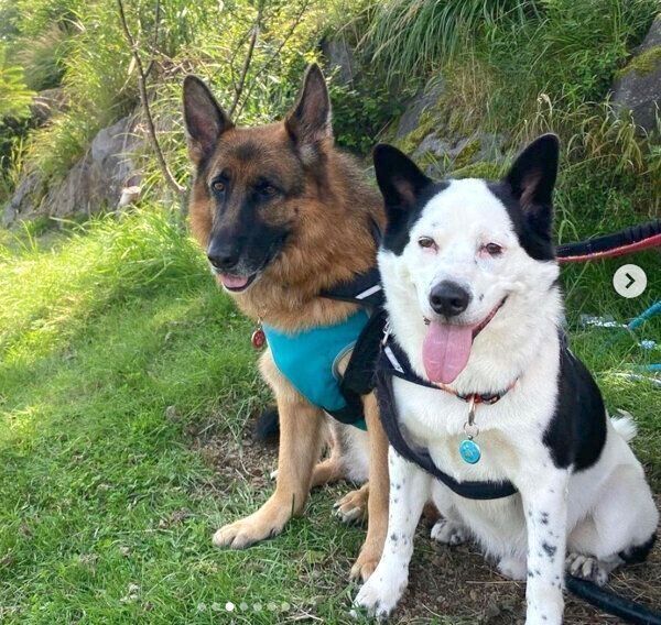 お出かけを楽しむスヌーピーちゃんとバトンちゃん