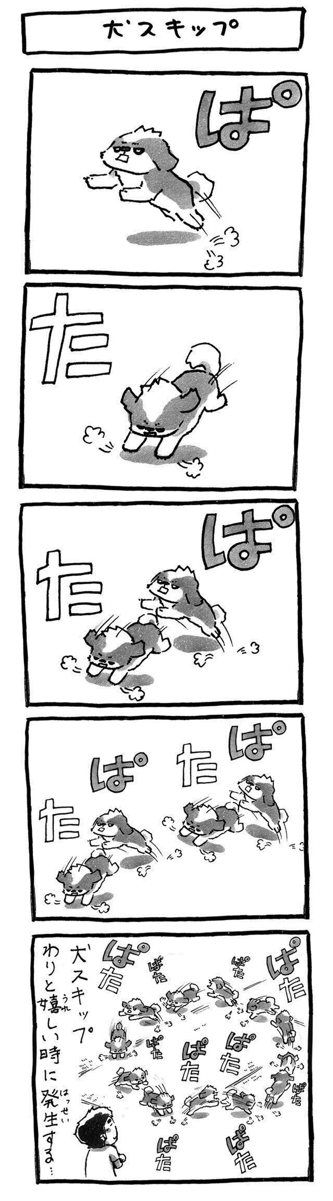 出た 犬スキップ 連載 シーズー犬のてんぽ 第54回 いぬのきもちweb Magazine 出た 犬スキップ 連載 シーズー犬のてんぽ 第54回 いぬのきもちweb Magazine