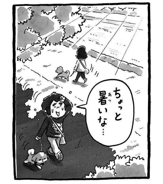 シーズー犬マンガてんぽshihtzu