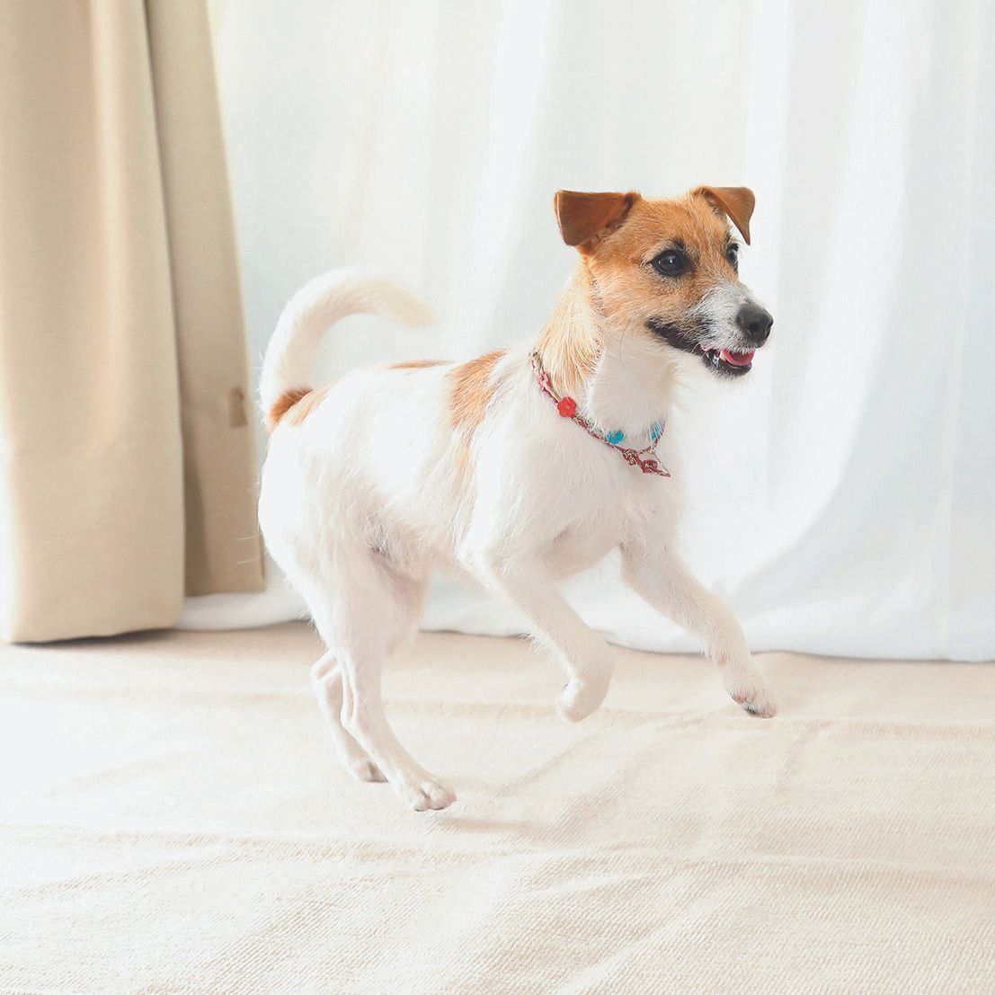 撮影／尾﨑たまき