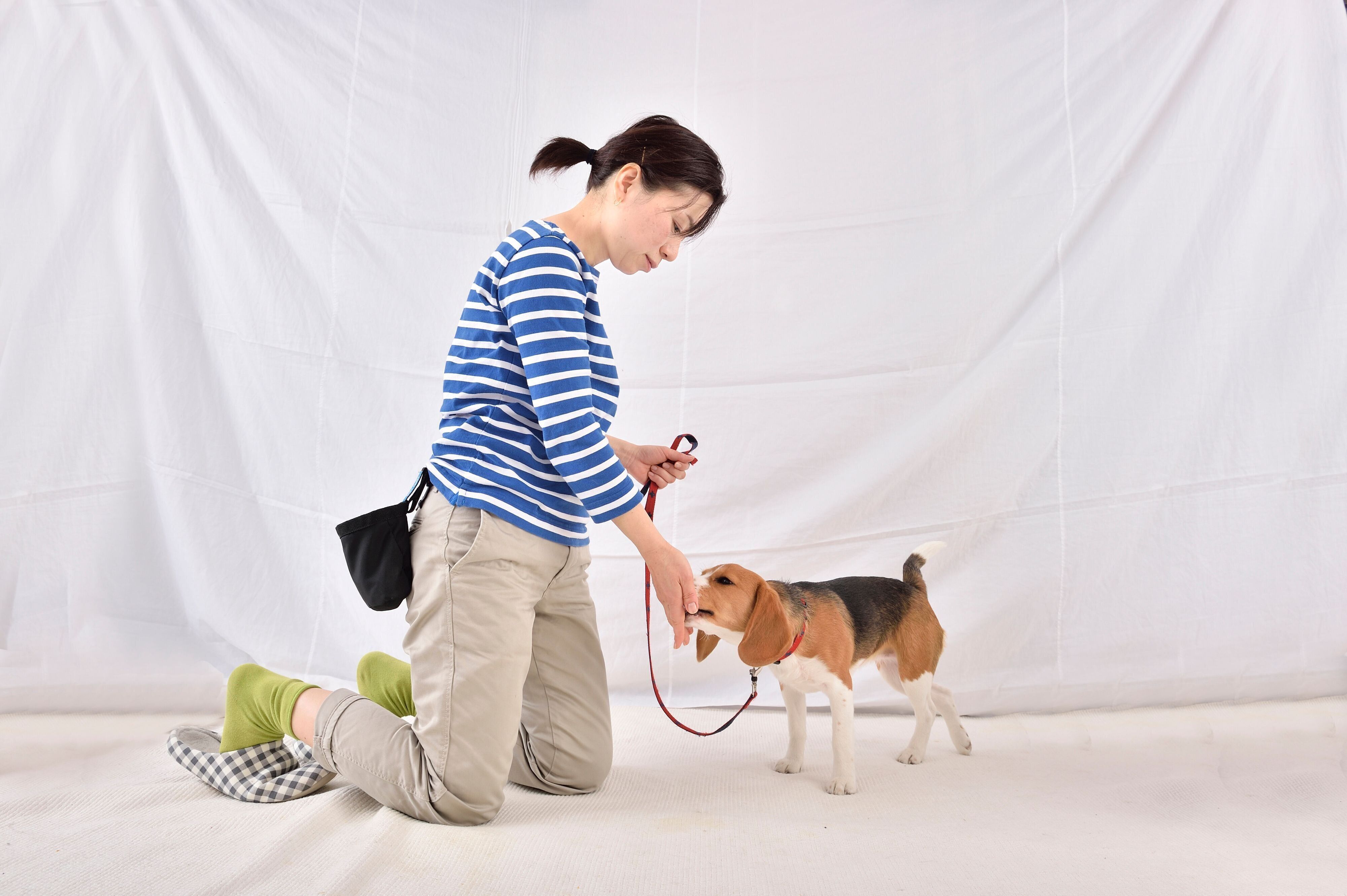 撮影／佐藤正之