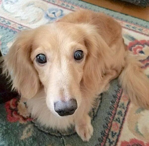 見つめる伶音ちゃん