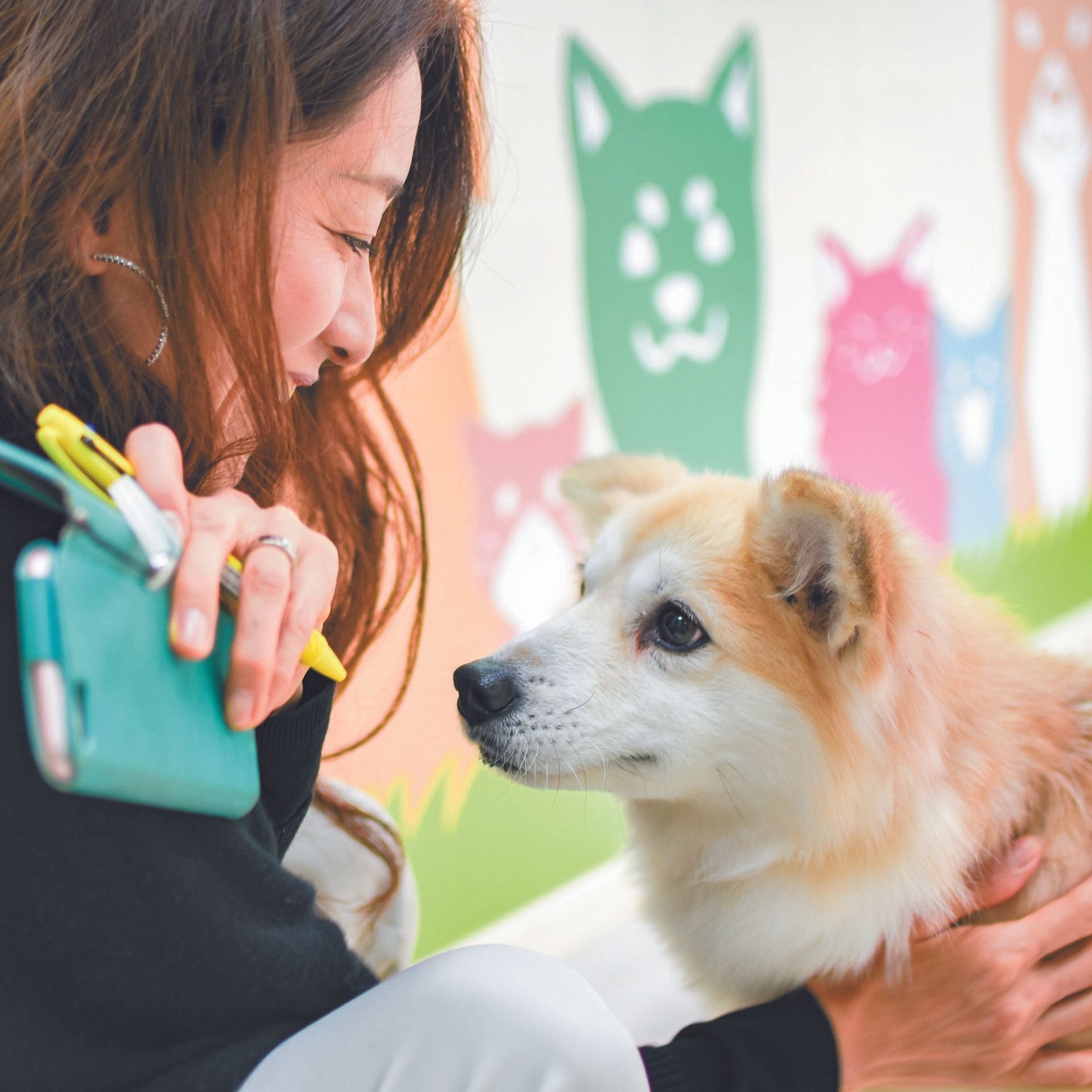 撮影／ムロヒロミ