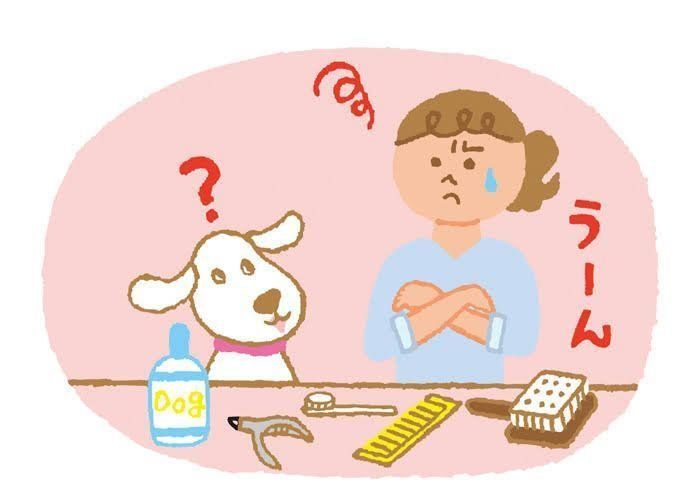 イラスト／来迎純子