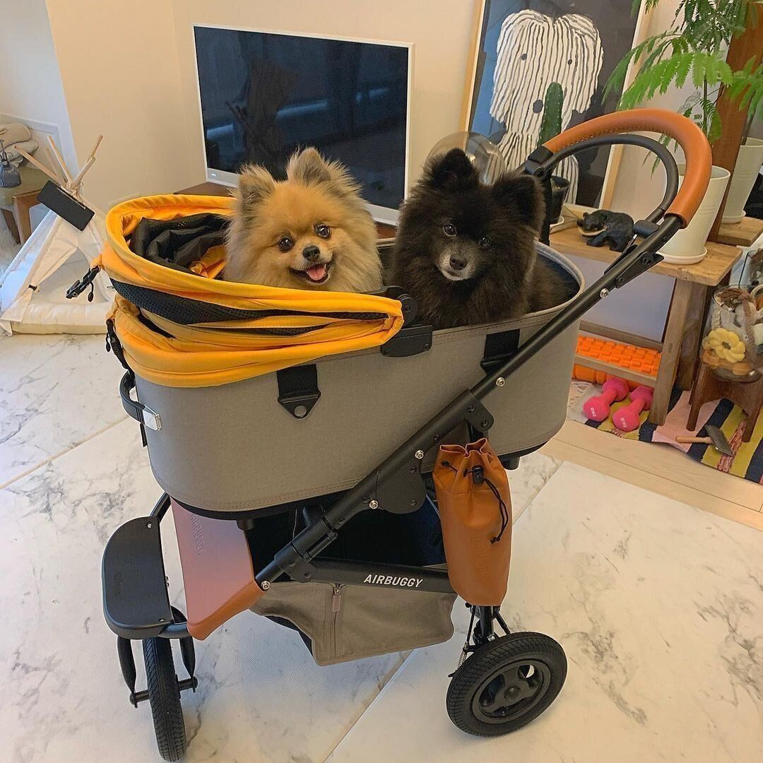 21年最新 おすすめ犬用カート カートのメリットや使った飼い主の体験談も いぬのきもちweb Magazine