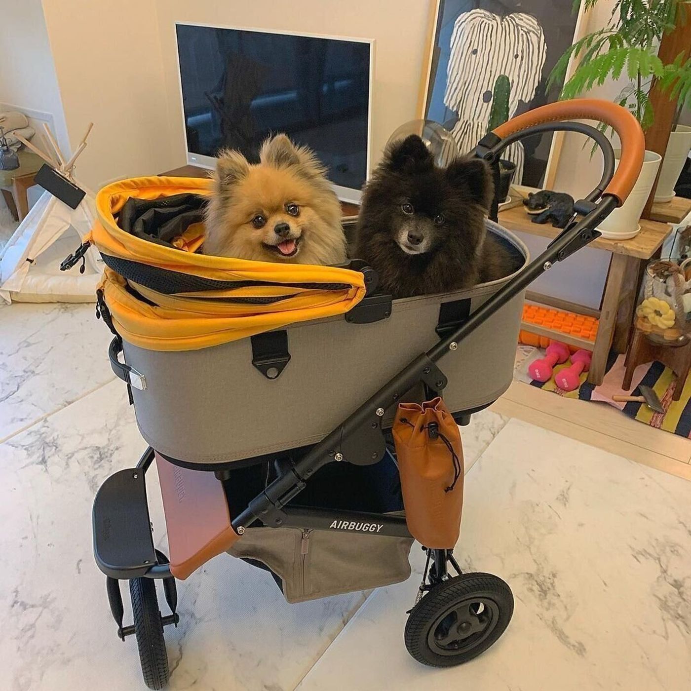 21年最新 おすすめ犬用カート カートのメリットや使った飼い主の体験談も いぬのきもちweb Magazine 21年最新 おすすめ犬用カート カートのメリットや使った飼い主の体験談も いぬのきもちweb Magazine