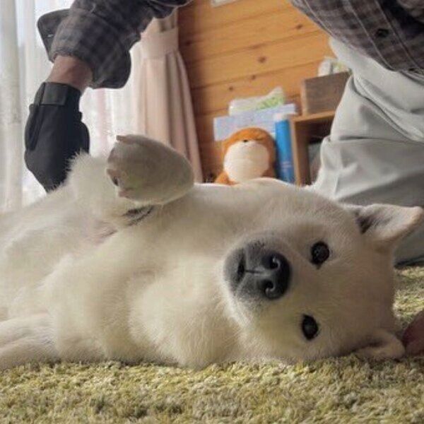 されるがままになるあいちゃん