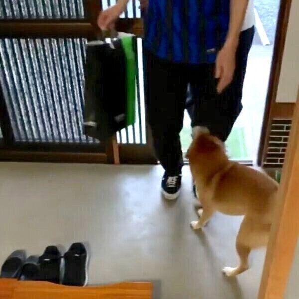 長男との再会を喜ぶさくちゃん