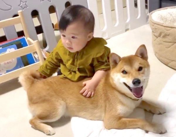 寄り添うりんご郎くんと妹ちゃん