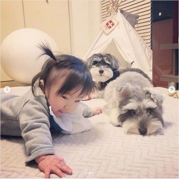 赤ちゃんに寄り添うミニチュア・シュナウザー