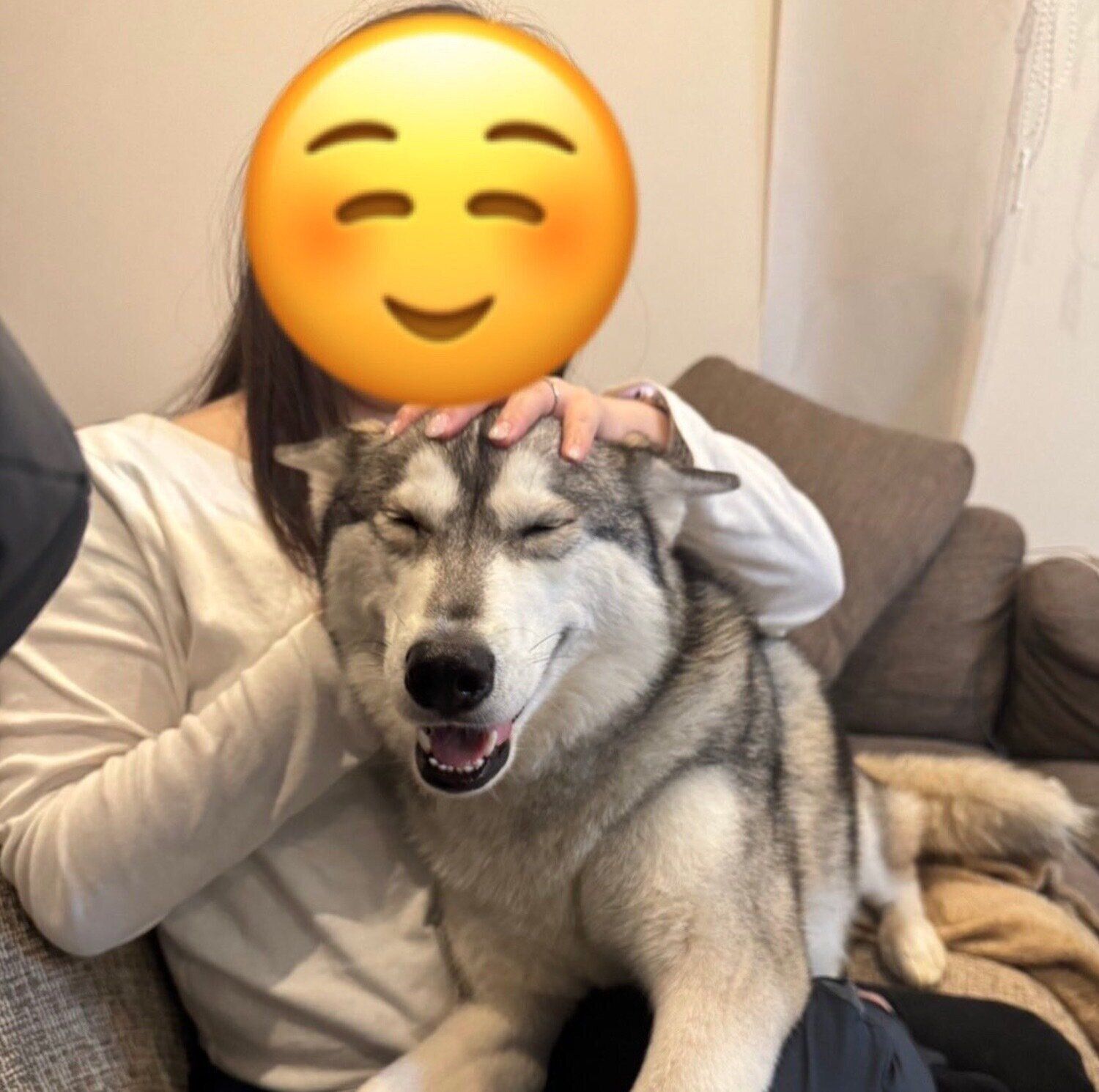 嬉しそうなモモちゃん