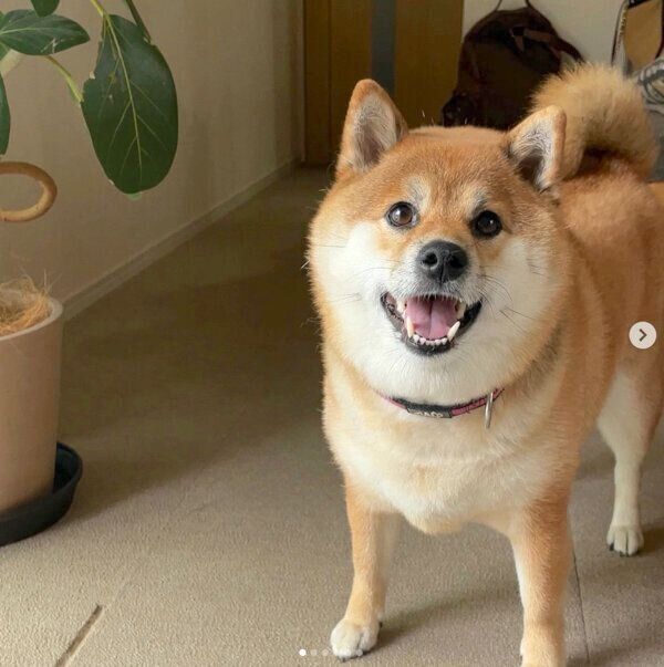 笑顔が可愛いむーちゃん