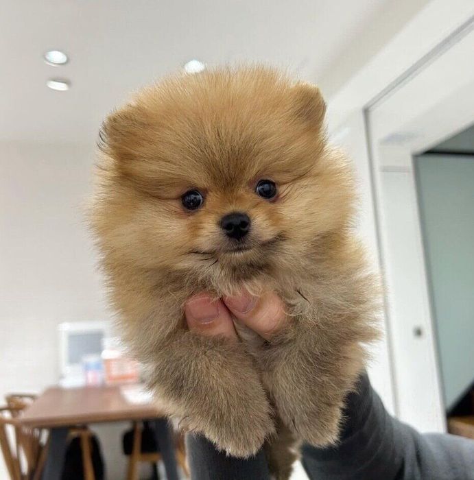 初対面したときのまろくん