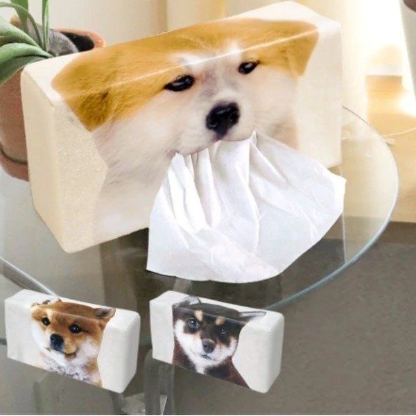 ワンコのお顔のティッシュケース