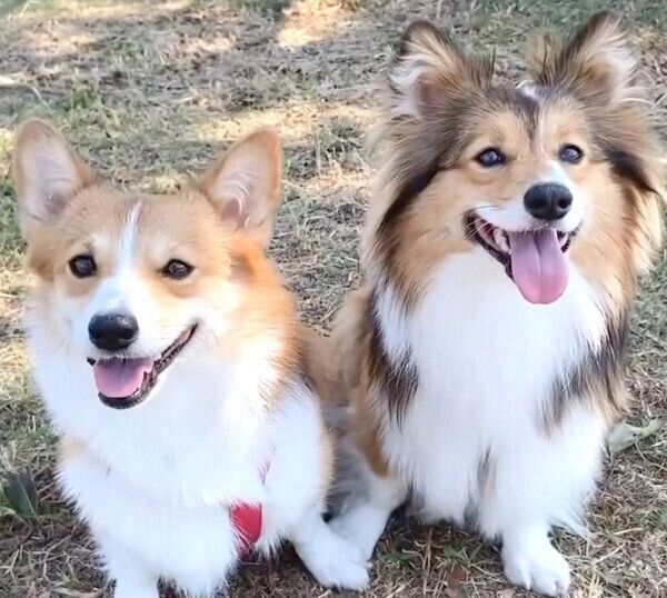 笑顔が可愛いせこむちゃん、うりちゃん