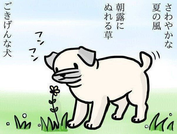 【連載】パグ犬・めー vol.118