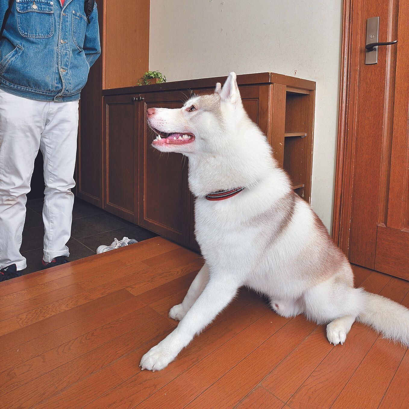 撮影／佐藤正之