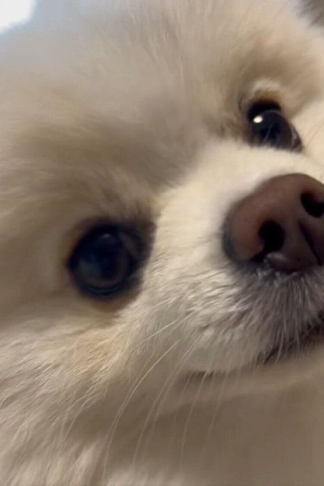 反対に首をかしげる天くん