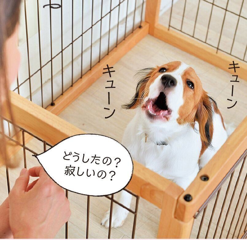 「かわいそうだから」と干渉しすぎるのはNG