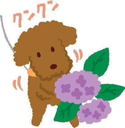 見ごろの花や果実の誤食