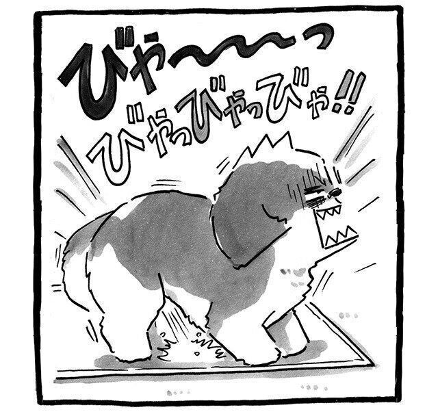 シーズー犬マンガてんぽshihtzu