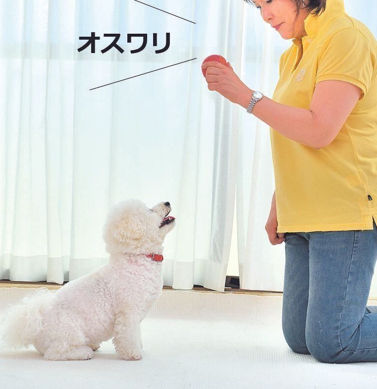 撮影／佐藤正之