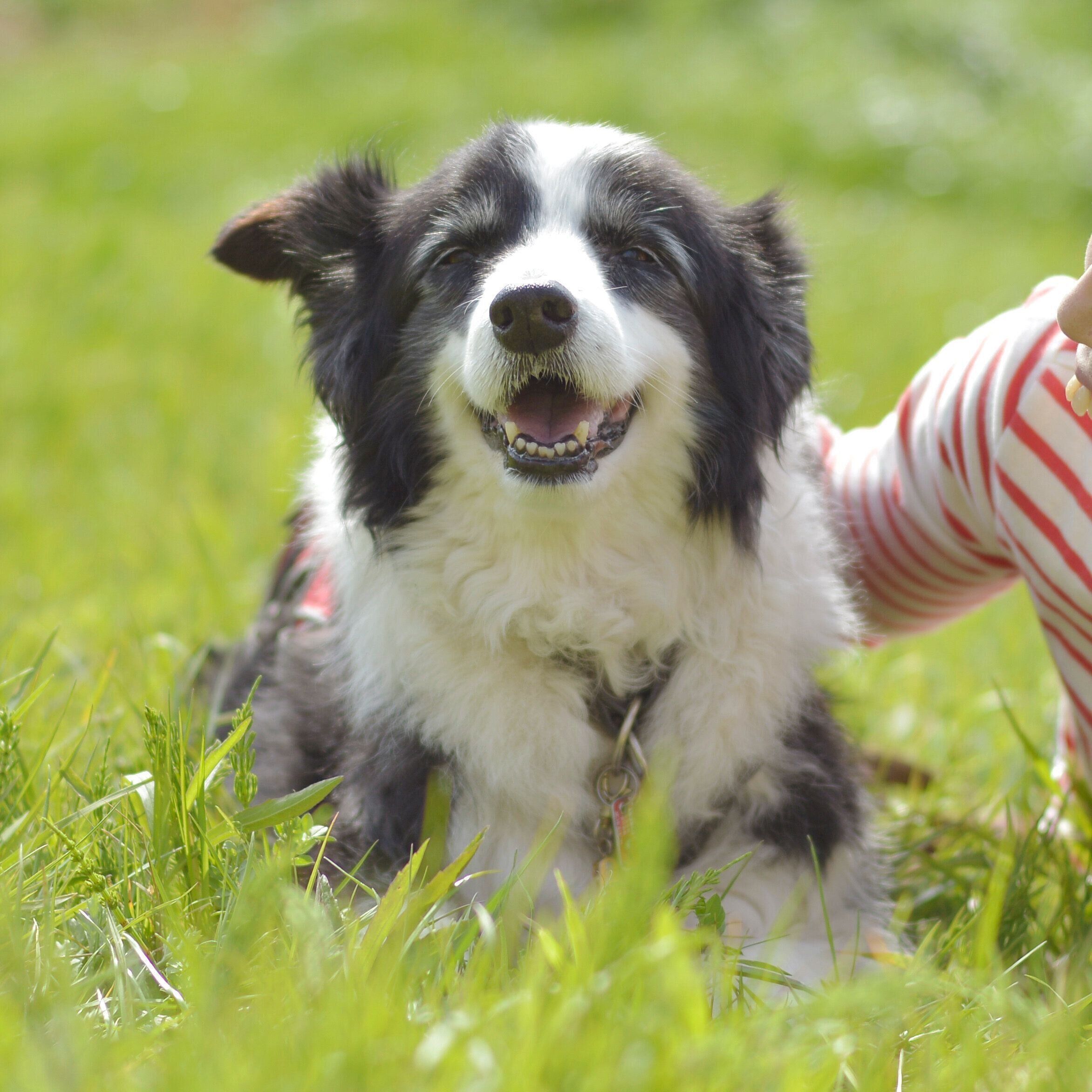 撮影／犬丸美絵