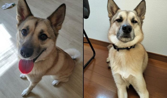 表情の差がスゴいFELIXくん