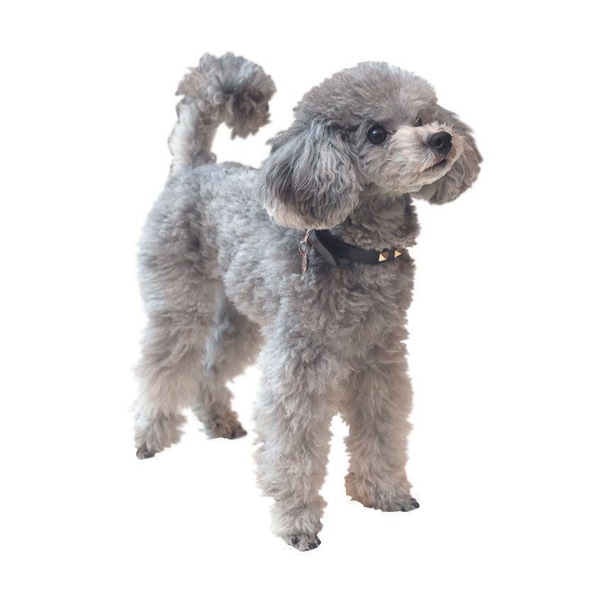 撮影／尾﨑たまき