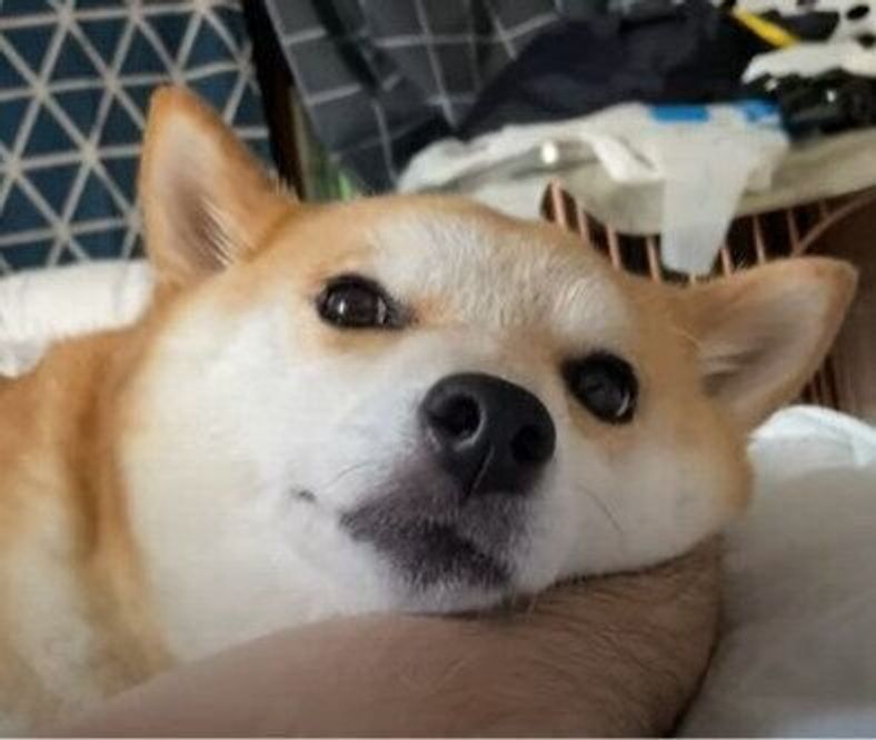 R 3huktqy5ggdm R 3huktqy5ggdm