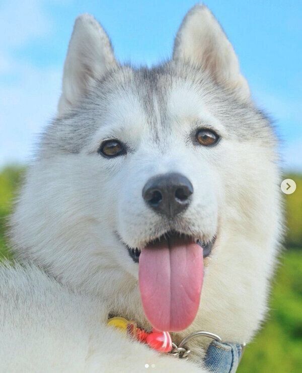 笑顔のいろはちゃん