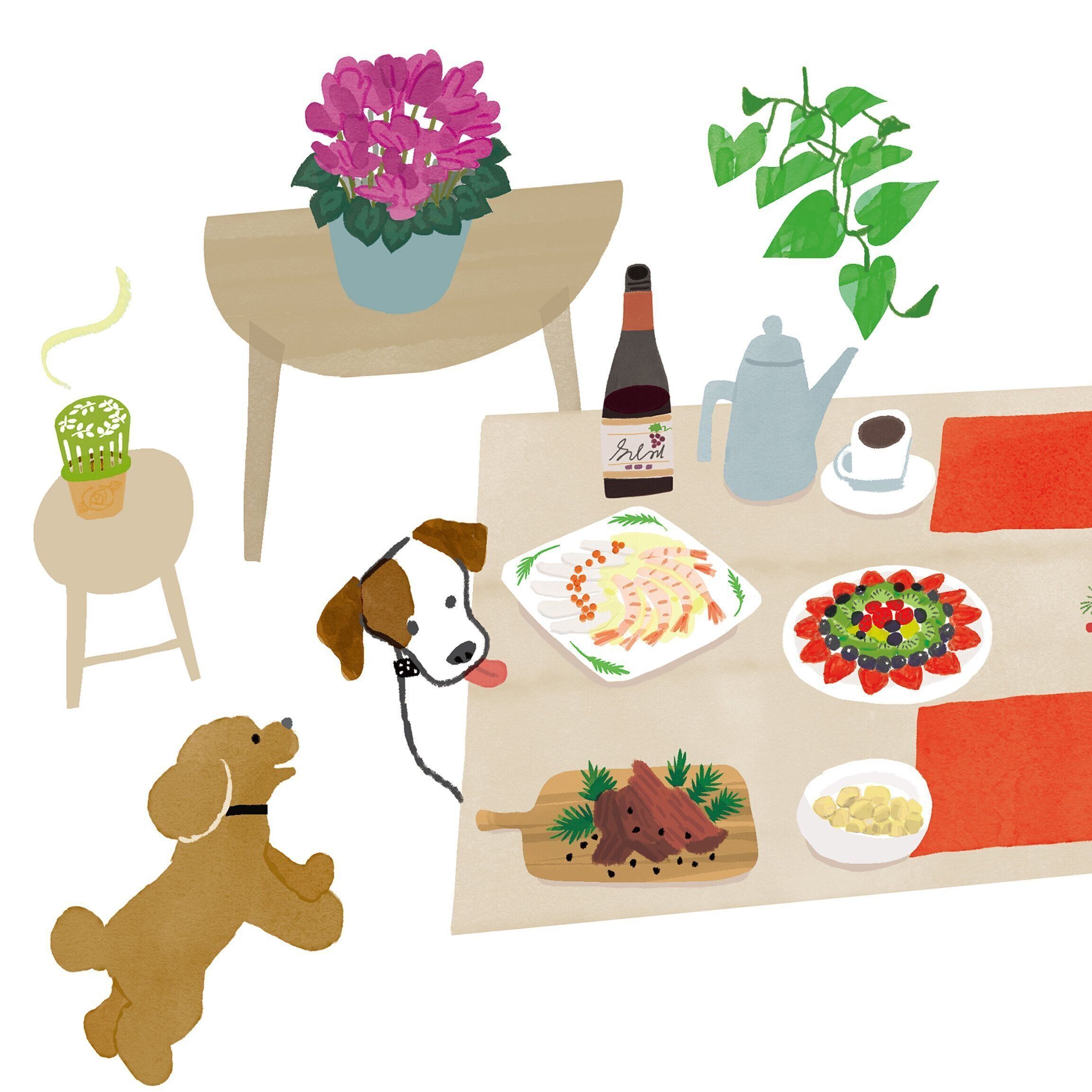 イラスト／あらいのりこ