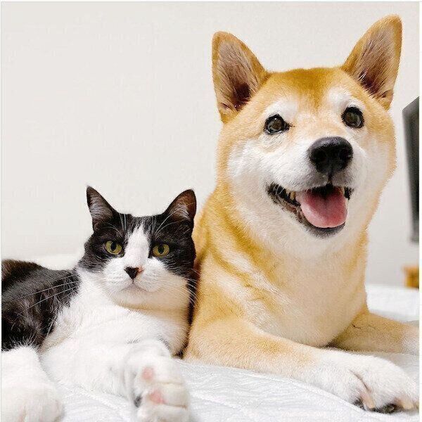 寄り添ううららちゃんとからしちゃん