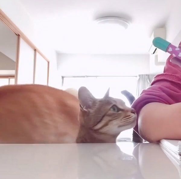 かまってほしいムギくん