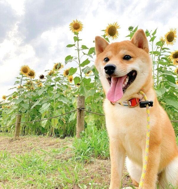 笑顔のこたろうくん