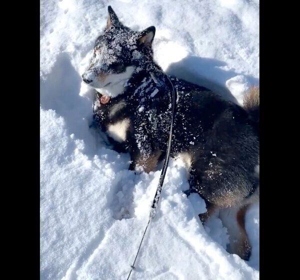 雪が好きなはるくん