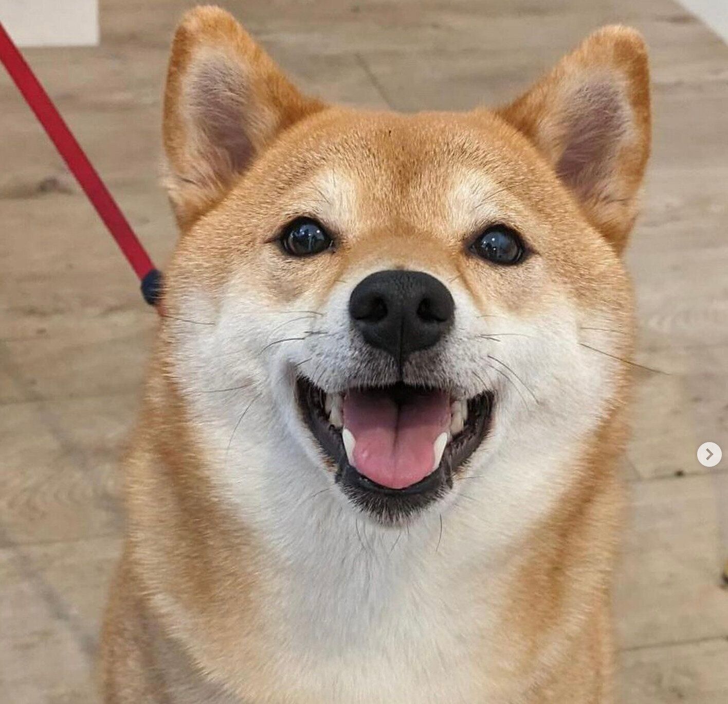 笑顔のまるちゃん