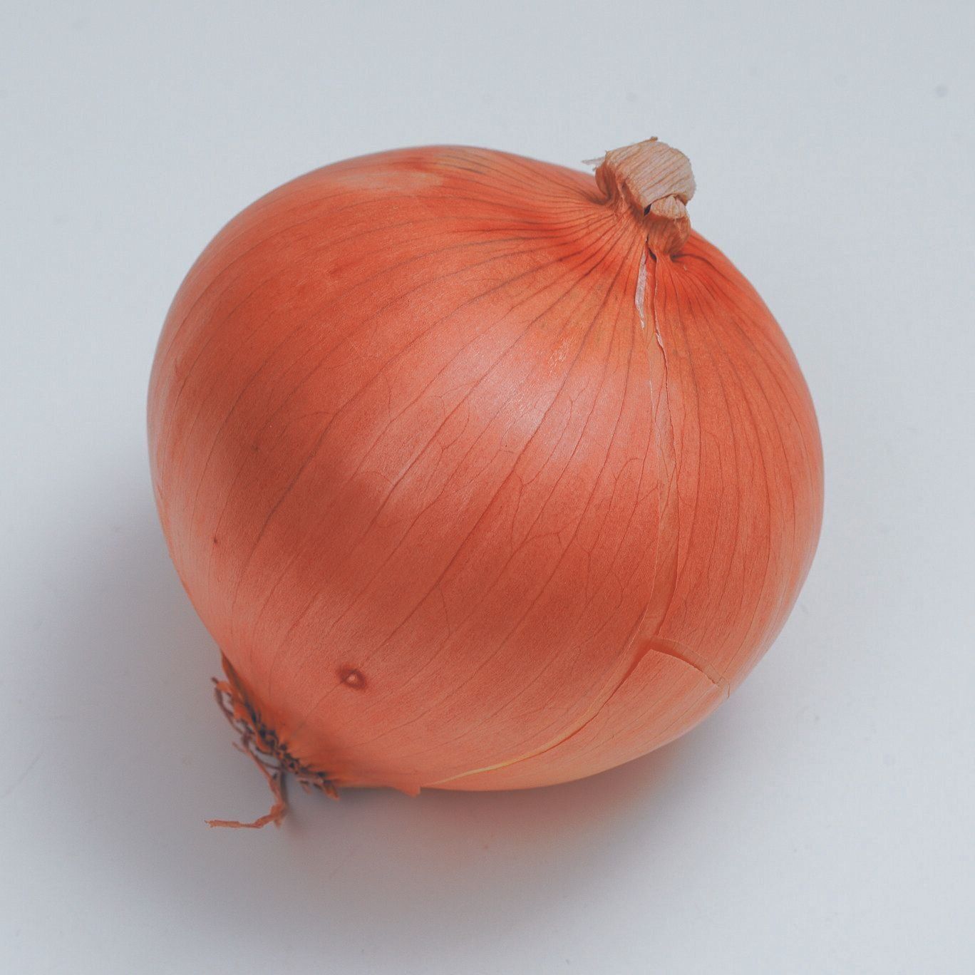 玉ネギのほか、ネギ、ニラ、ニンニク、らっきょうも要注意！