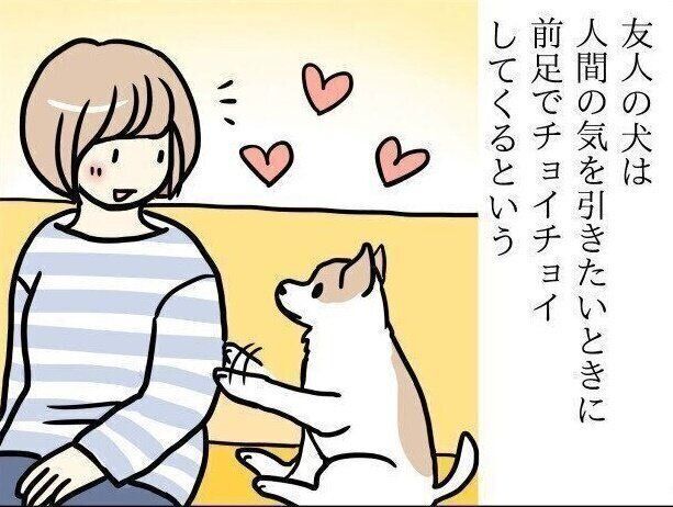 【連載】パグ犬・めー vol.98