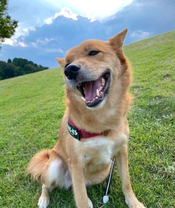 笑顔のむぎちゃん