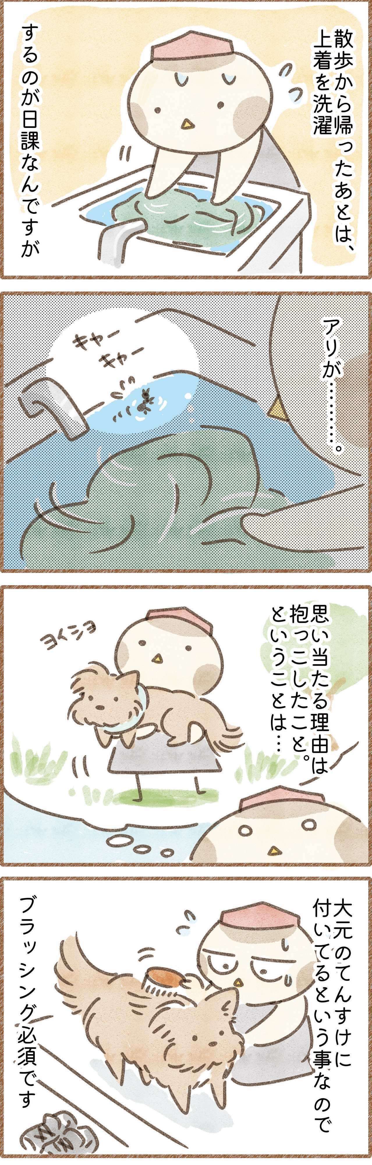 散歩から帰ると犬の身体に色々付いて来るという漫画