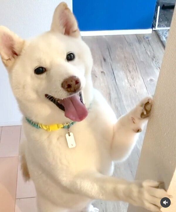 目をキラキラさせる福来くん