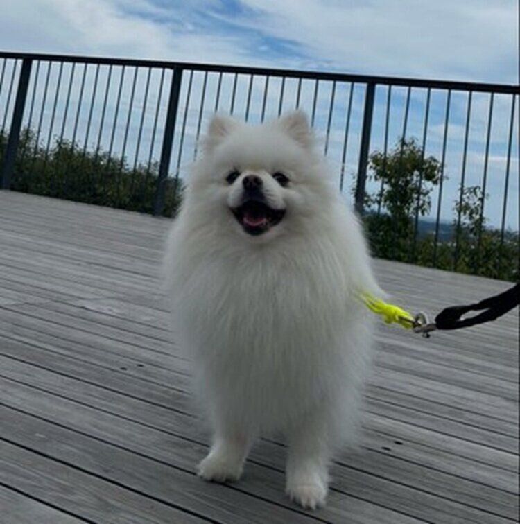 青空の下で笑顔を見せるらんまるくん