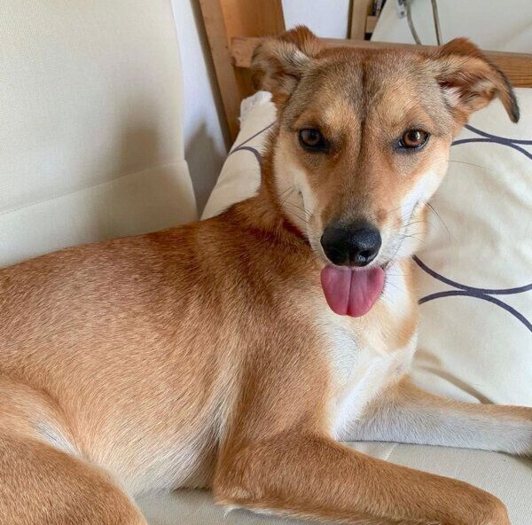 笑顔の華ちゃん