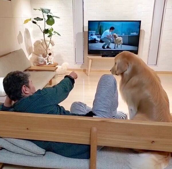 パパさんと映画鑑賞をするアランくん