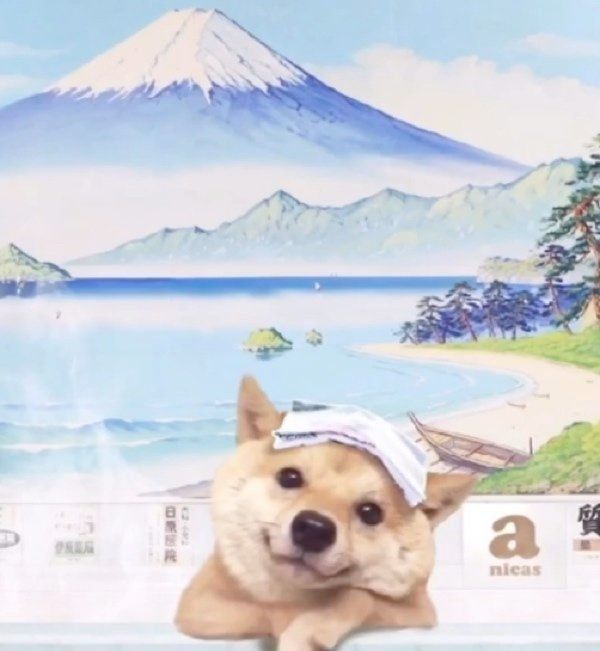 お風呂の妖精まめちよくん