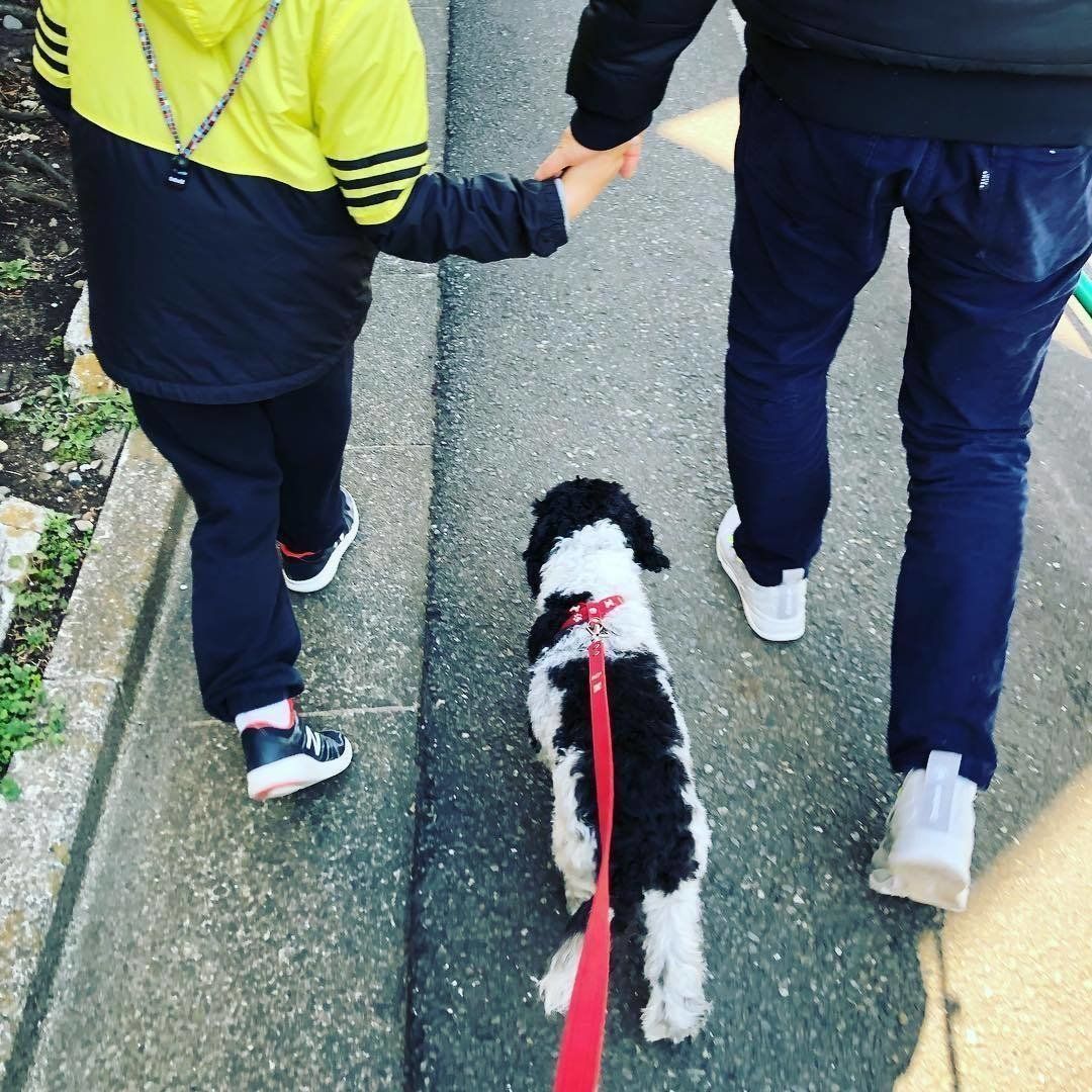 ジョルノちゃん