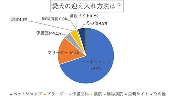 愛犬の迎え入れ方法は？