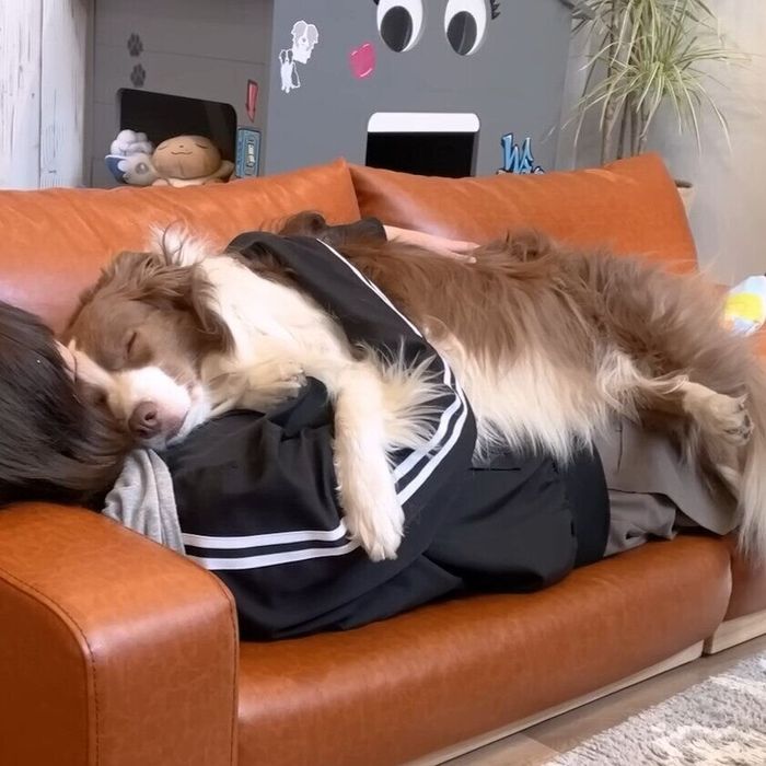熟睡しているリーリエちゃん