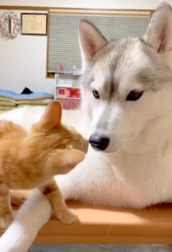 仲良しなユキちゃん、レンちゃん